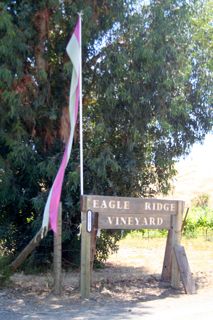 Eagle Ridge Vineyard