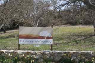 Minassian-Young Vineyards