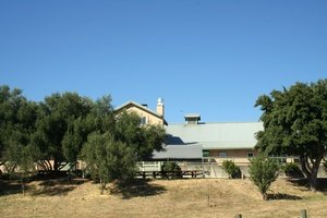 Acacia Winery
